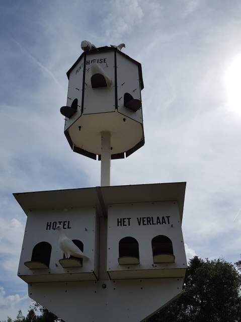 ../fotos/het_verlaat_2016/2016-06-29 16.52.57.jpg
